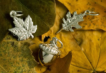 Rembrandt Charms